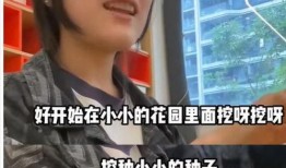 东莞黄先生爆料视频
