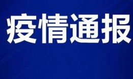 肇庆新闻爆料电话号码,揭秘市民爆料新途径