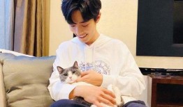 肖战替身爆料视频合集下载,揭秘幕后真相与幕后故事