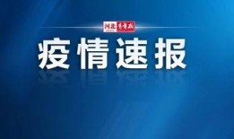 藁城网友爆料最新新闻,最新突发事件引发关注