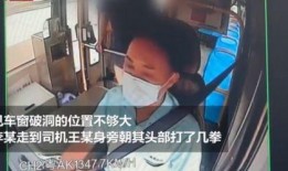 截拳李小李爆料视频大全,小李揭秘截拳李小李爆料视频大全