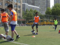 男子爆料足球视频大全