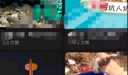 抖音热点爆料流程视频,视频背后的秘密大公开