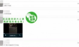 在网上爆料视频怎么通过,如何巧妙提炼精彩内容制作概述文章副标题