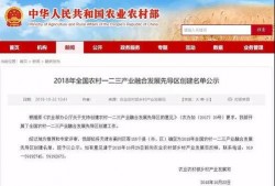 广西最新爆料公司名称是,最新爆料公司名称引发行业关注！”