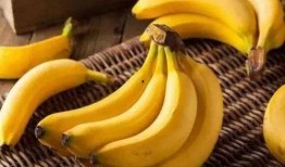 香蕉今天的爆料视频,惊人内幕曝光！