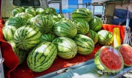 临沂吃瓜网红事件真相揭秘,真相大白，揭秘背后真相