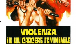 狱中艾曼妞在线观看,揭秘神秘监狱中的激情与救赎