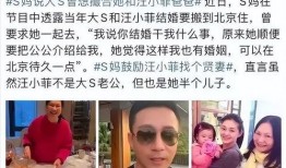 汪爸爆料视频在线观看,揭秘幕后真相，带你走进事件核心