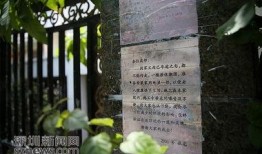 泰州违建新闻爆料热线,畅通新闻爆料热线，共建和谐城市环境