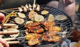 美食烧烤爆料视频下载大全,一网打尽烧烤秘籍与美味瞬间