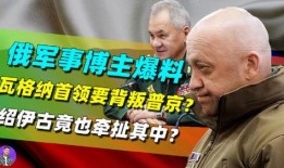 瓦格纳爆料谎言视频,谎言背后的真相曝光