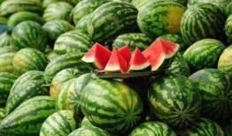 临沂吃瓜网红事件真相揭秘,真相大白，揭秘背后真相