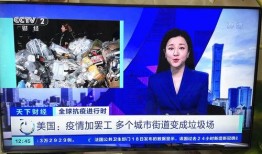 雷州电视台爆料视频播放,视频内容大揭秘