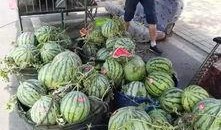 无锡网红吃瓜事件,揭秘网络舆论的风暴与真相