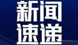 央视新闻网爆料,揭秘事件背后真相