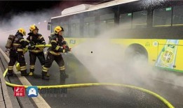 最近胶州爆料新闻视频播放,视频揭露惊人真相，引发社会关注