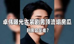 娱乐大爆料卓伟视频大全,揭秘娱乐圈幕后真相