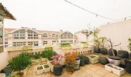 和平花园爆料视频大全,揭秘社区生活点滴