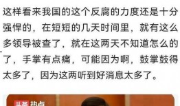 国内最新事件爆料新闻,国内最新热点事件内幕曝光