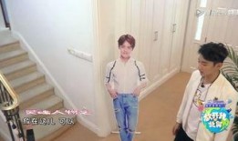 吃瓜娱乐马天宇,揭秘娱乐圈幕后故事