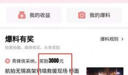 今日头条爆料有多少钱,巨额财富背后，揭秘惊人收入真相！