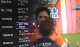 欧洲记者爆料视频播放大全,揭秘事件真相与幕后黑幕