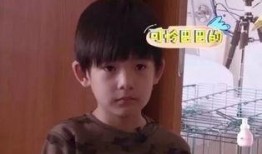 董洁和她的儿子爆料视频,母子情深背后的故事