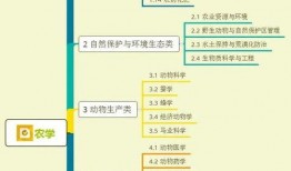 安踏新款爆料视频大全集,时尚运动新风尚