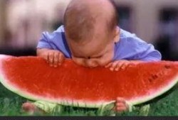 吃瓜大赛免费视频,免费视频带你一网打尽吃瓜大赛精彩瞬间