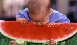 吃瓜大赛免费视频,免费视频带你一网打尽吃瓜大赛精彩瞬间