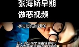 小六最新爆料视频大全集,揭秘幕后真相，带你走进事件核心