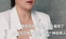 袁立爆料黑幕视频,真相与反思