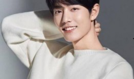 肖战替身爆料视频合集下载,揭秘幕后真相与幕后故事