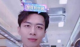 刘有才前妻爆料视频大全,揭秘婚姻背后的真相