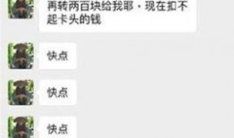 爆料网红博主视频大全集,揭秘热门内容背后的故事与魅力