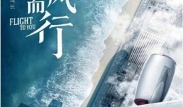 王凯向风而行爆料视频,向风而行背后的故事