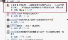 台湾爆料许圣梅视频,许圣梅视频事件引发舆论风暴