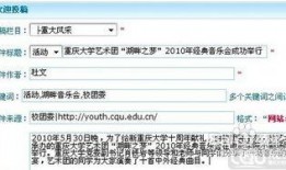 新闻爆料投稿模板