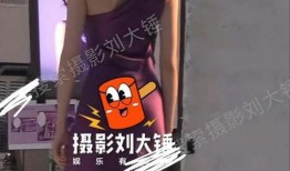 热巴狗仔爆料事件视频,揭秘明星隐私背后的真相