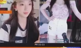 席鑫网友爆料事件视频大全,揭秘网络舆论背后的真相