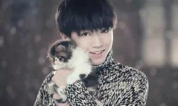 匿名爆料王俊凯视频,背后真相引人猜测