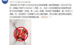 爆料网红博主视频大全集,揭秘热门内容背后的故事与魅力