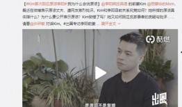 刘有才前妻爆料视频大全,揭秘婚姻背后的真相