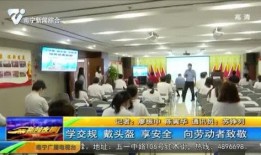 南宁淡村新闻爆料事件最新,真相追踪与舆论漩涡