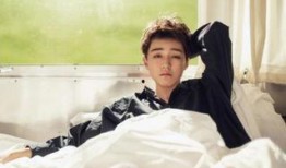 匿名爆料王俊凯视频,背后真相引人猜测