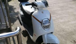 豪爵萌妹最新爆料图片视频,视觉盛宴，精彩瞬间大揭秘！