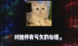 新鲜娱乐八卦圈吃瓜视频,吃瓜视频带你领略新鲜八卦风云