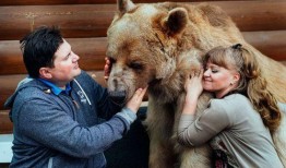 俄罗斯棕熊爆料视频大全,揭秘野生王国里的真实生活