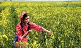 围场二中爆料事件视频播放,真相究竟如何？